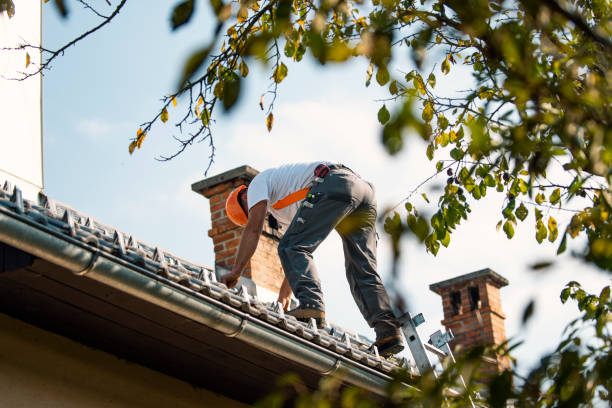 Quick and Trustworthy Emergency Roof Repair Services in Willards, MD